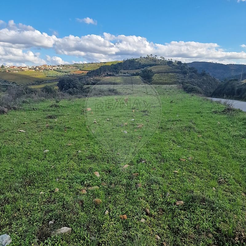 Terreno em Murça