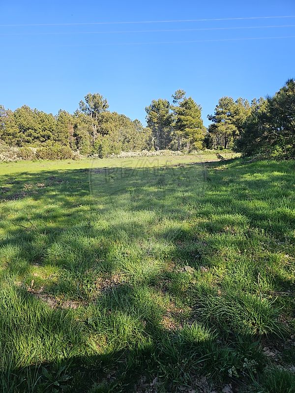 Terreno  para venda