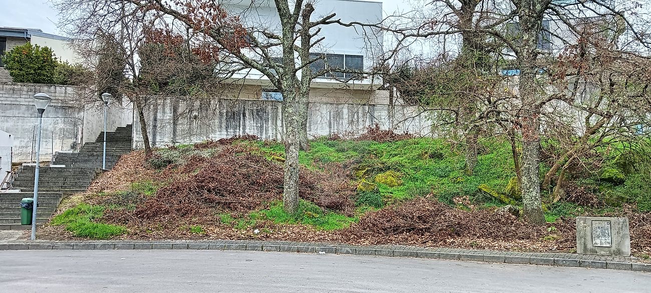 Land for sale in Vila Real, Portugal — €130,000