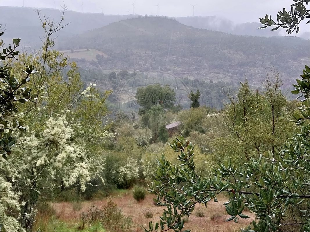 Terreno  para venda