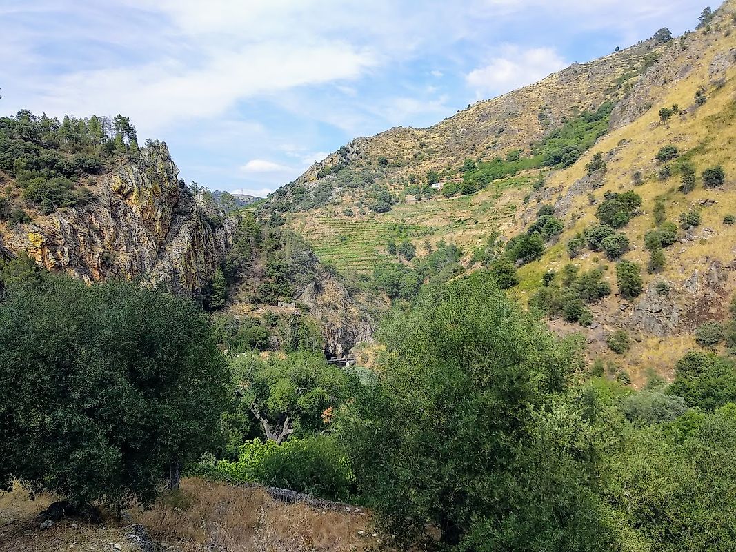 listing-picture-0