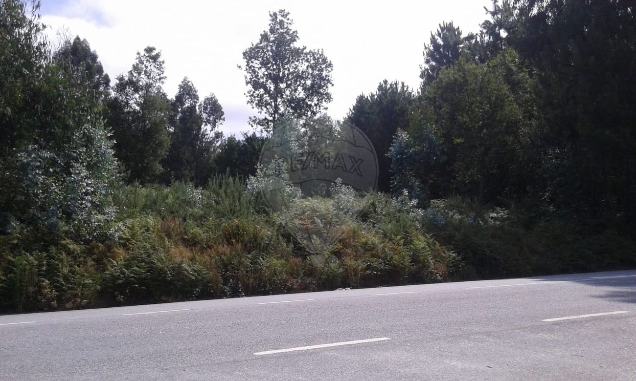 Terreno para venda