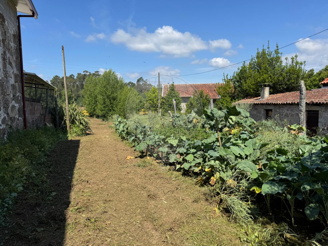 Terreno para venda