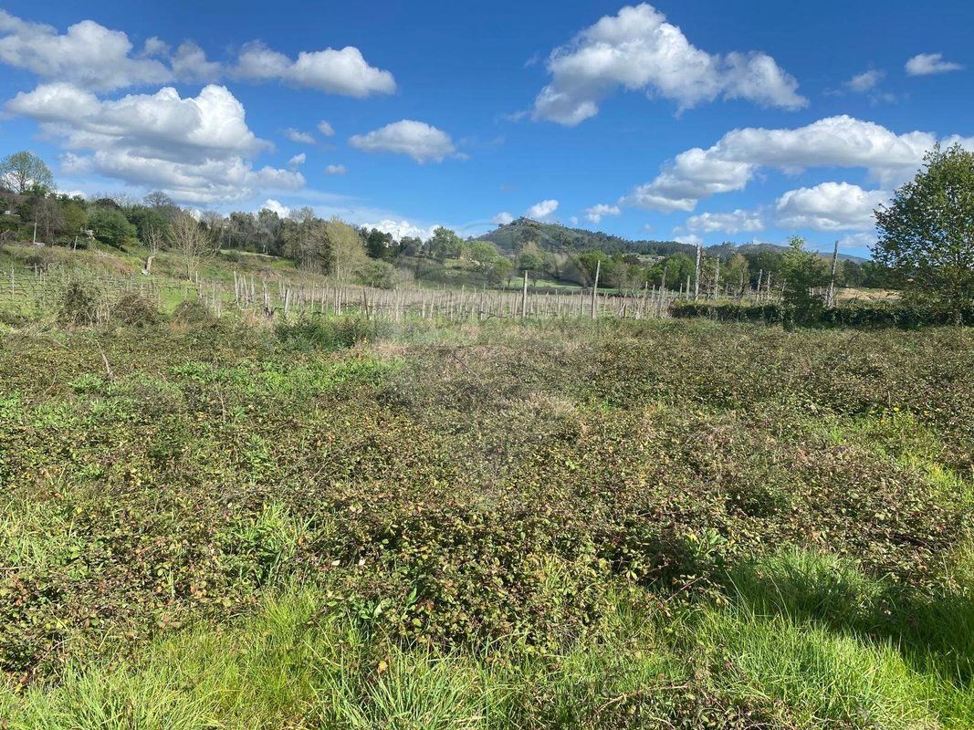 Terreno para venda