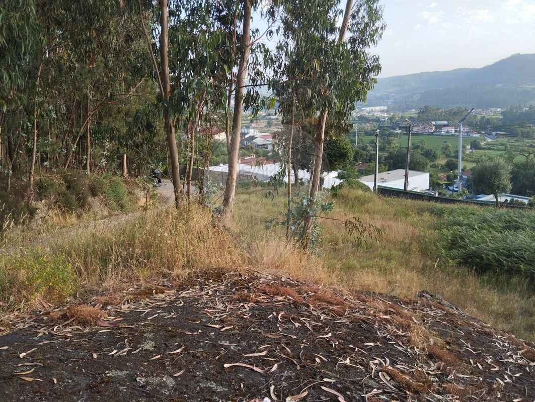 TODO