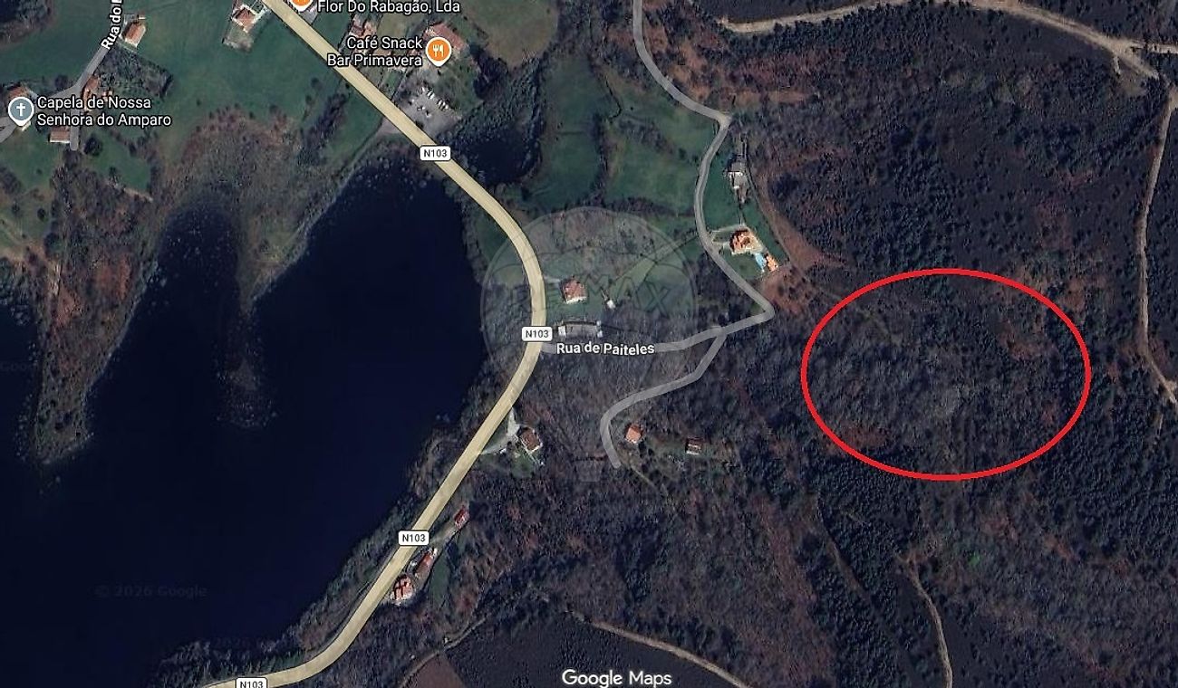 Terreno - Venda Nova e Pondras, Montalegre, Vila Real