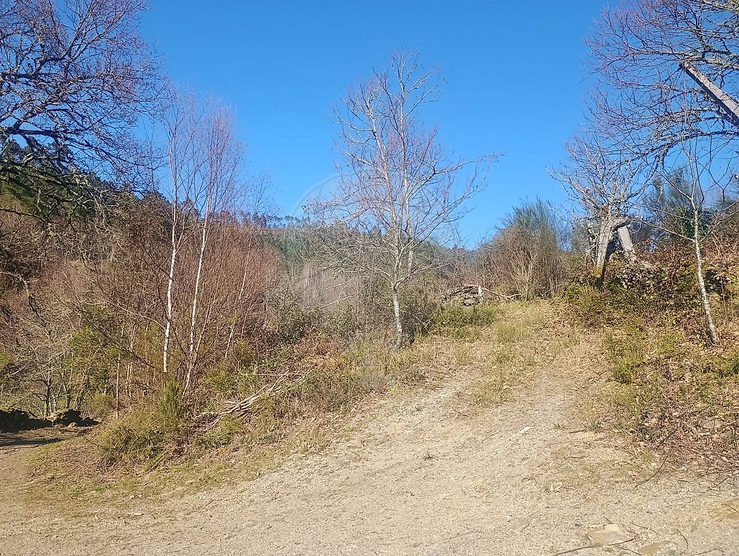Terreno - Venda Nova e Pondras, Montalegre, Vila Real