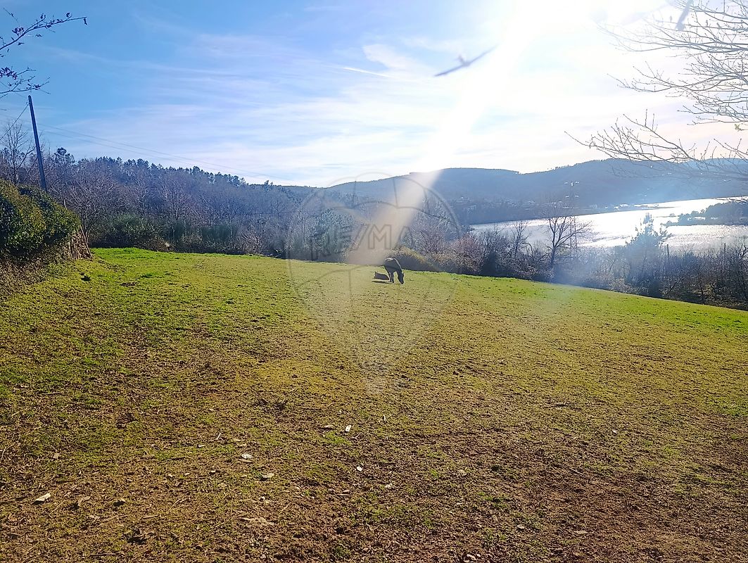 Terreno - Venda Nova e Pondras, Montalegre, Vila Real