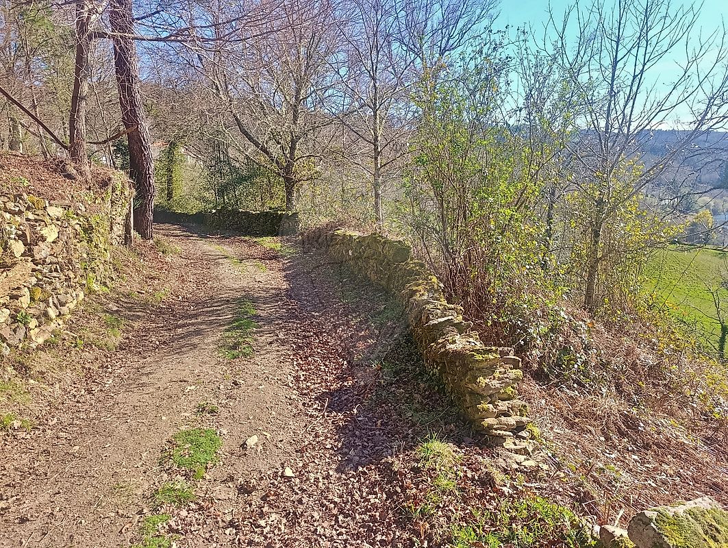 Terreno - Venda Nova e Pondras, Montalegre, Vila Real