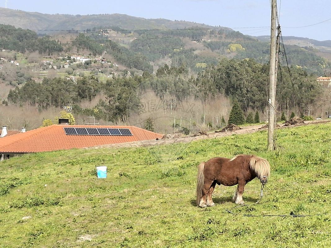 Moradia T3 à venda em Rossas, Vieira do Minho — foto 19