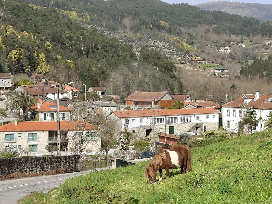 Moradia T3 à venda em Rossas, Vieira do Minho — foto 18
