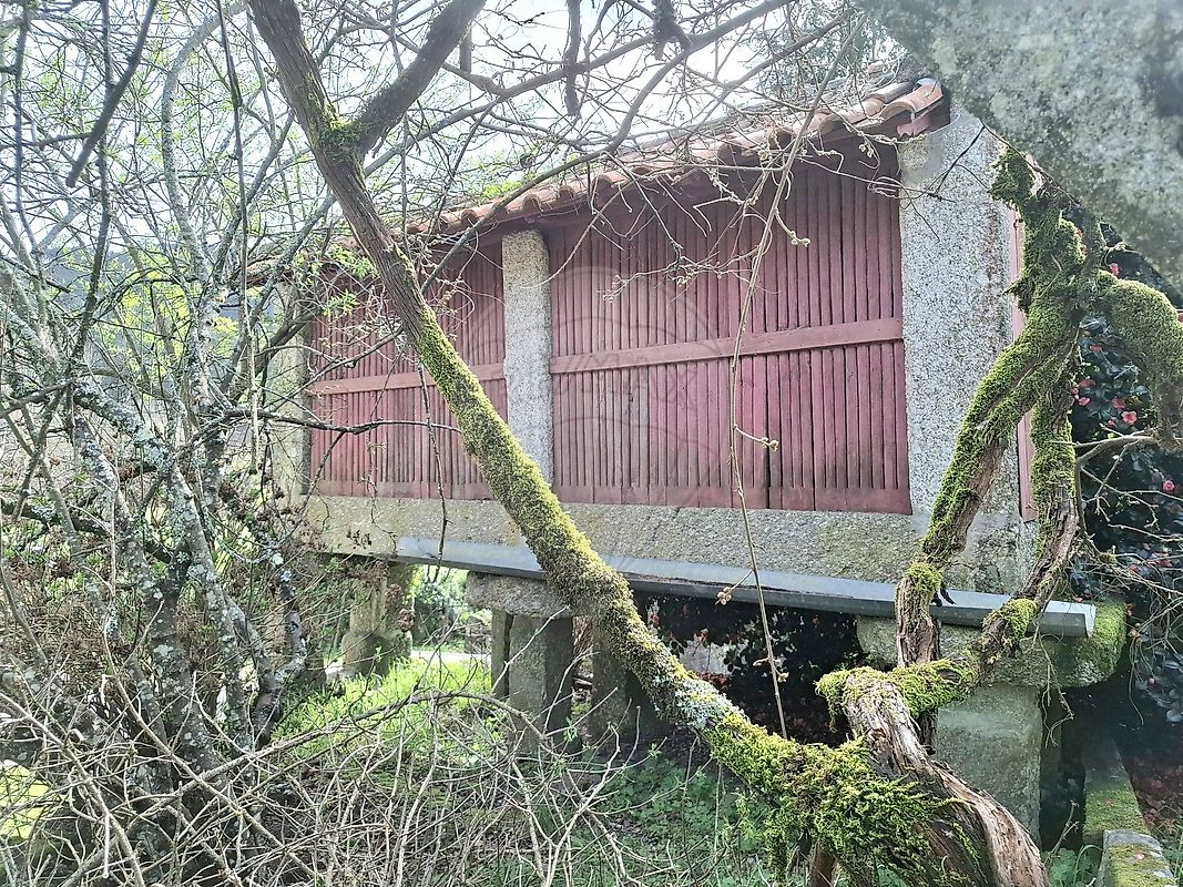 Moradia T3 à venda em Rossas, Vieira do Minho — foto 9