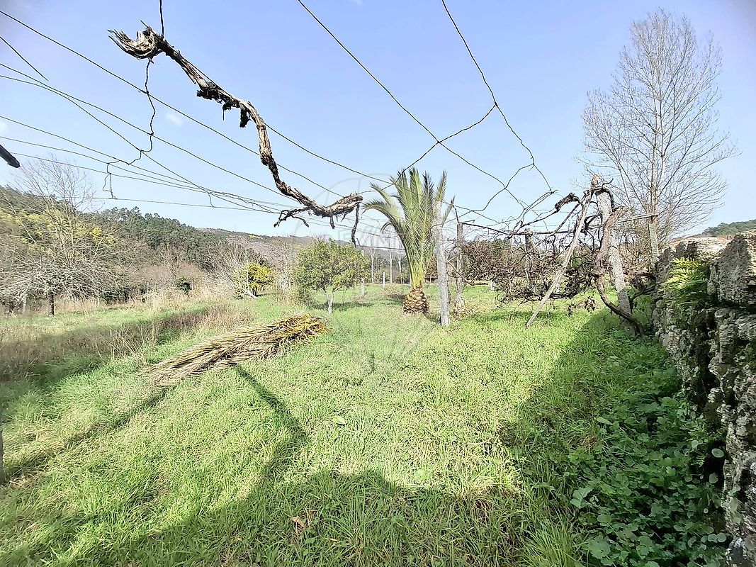 Moradia T3 à venda em Rossas, Vieira do Minho — foto 16