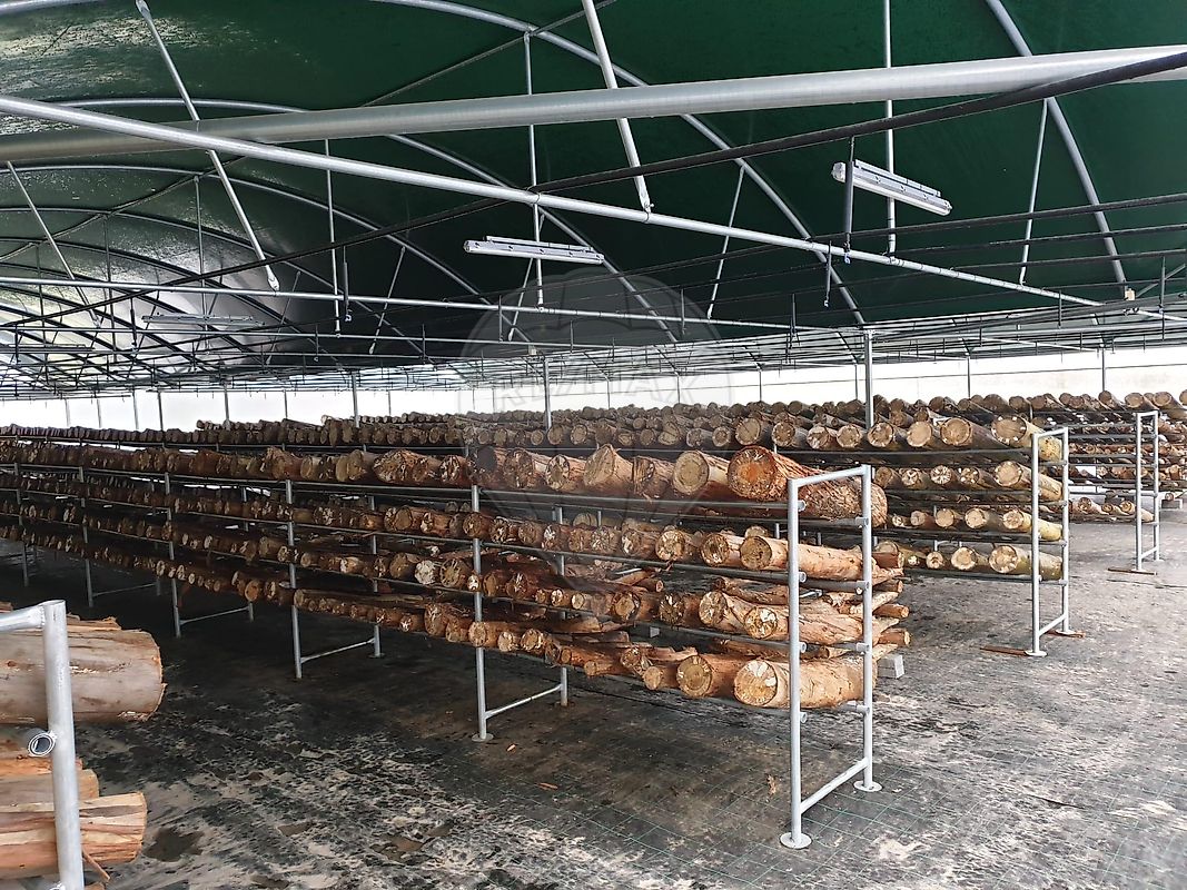 Moradia T5 à venda em Estorãos, Fafe — foto 20