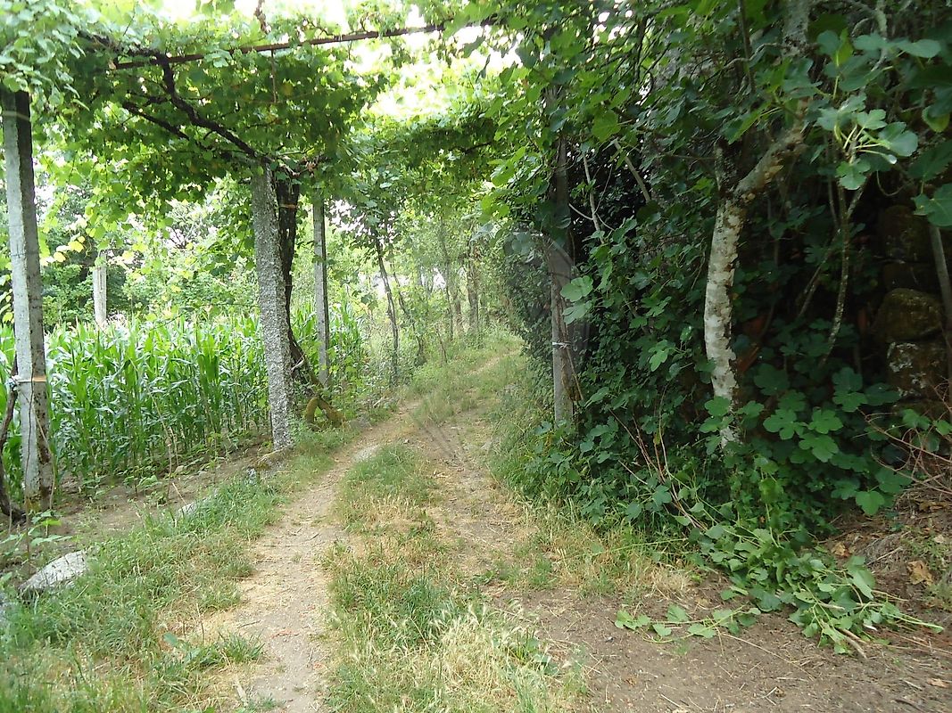 Moradia T5 à venda em Estorãos, Fafe — foto 30