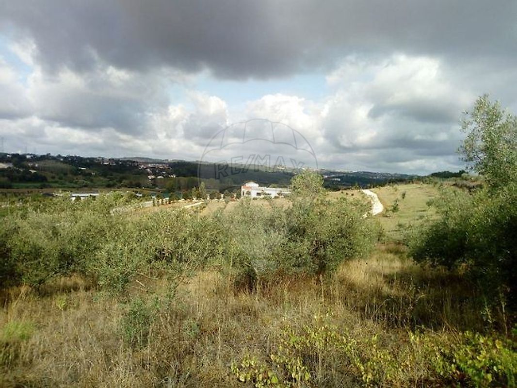 Terreno  para venda