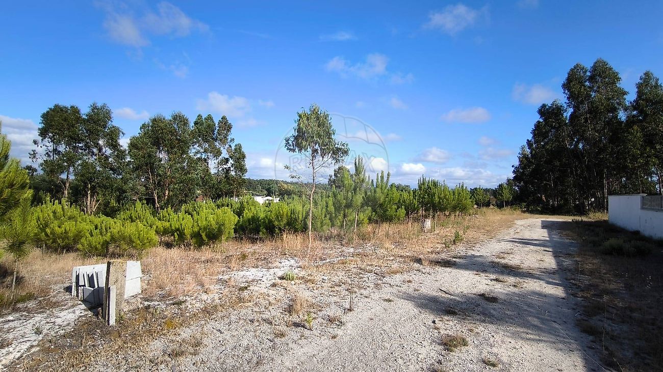 listing 124411101-19 picture-0