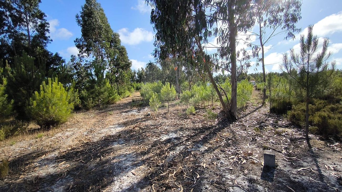 listing 124411101-19 picture-0