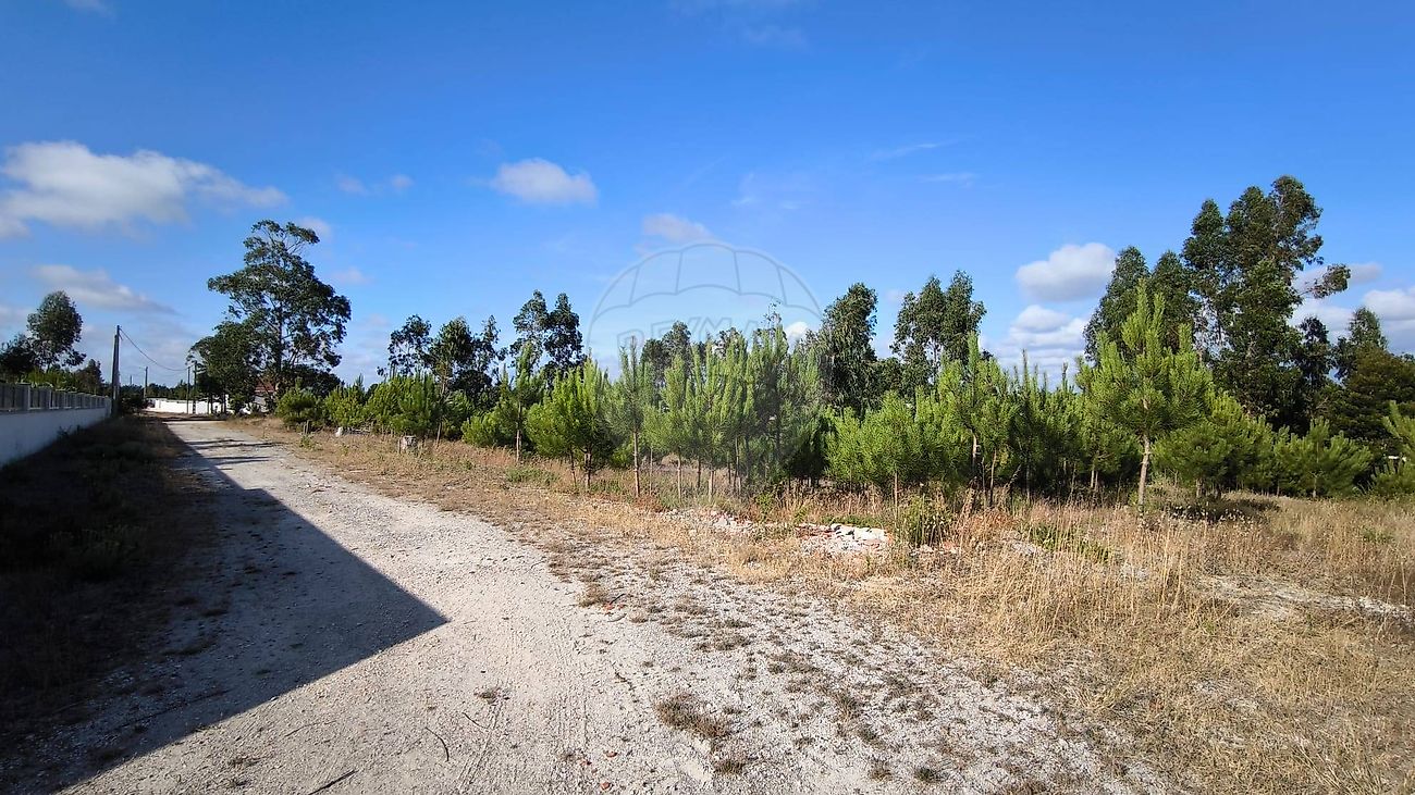 listing 124411101-19 picture-0