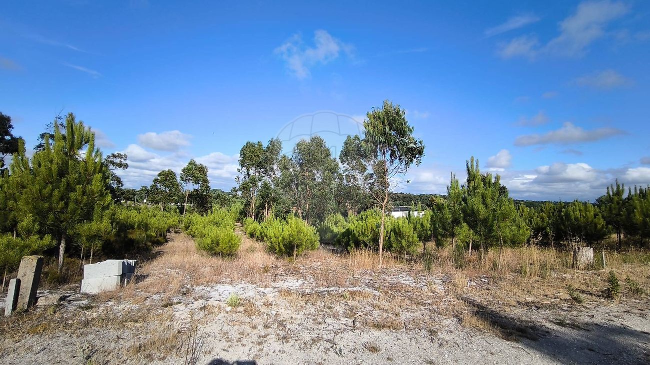listing 124411101-19 picture-0