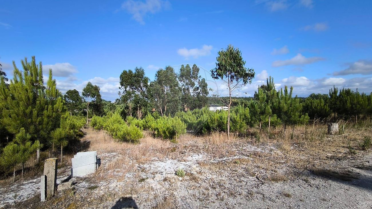 listing 124411101-19 picture-0