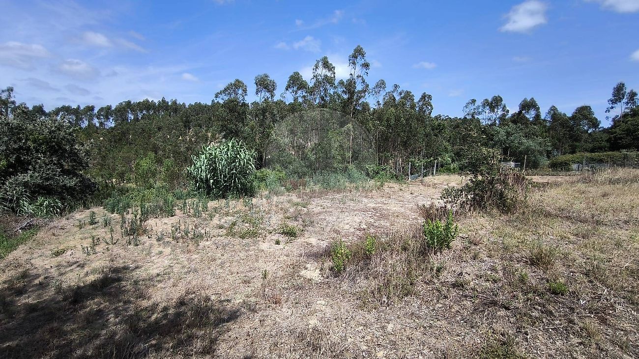 Terreno  para venda