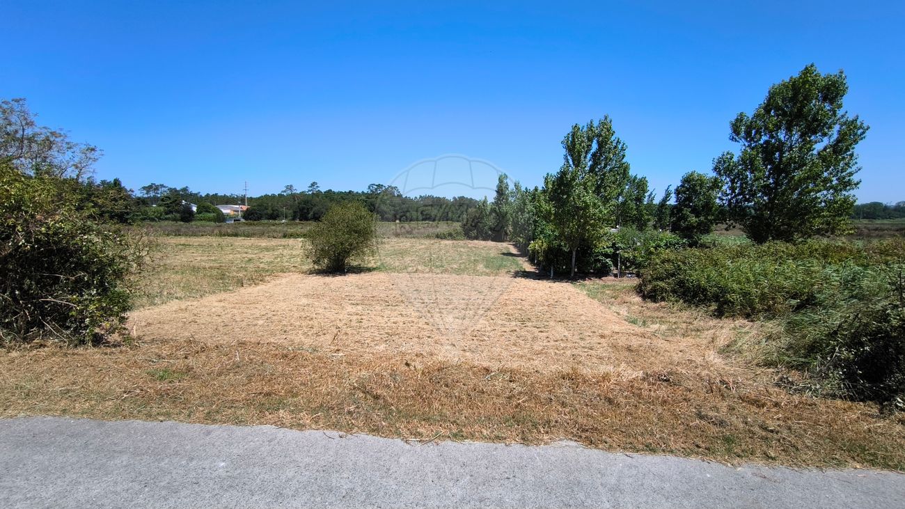 Terreno  para venda