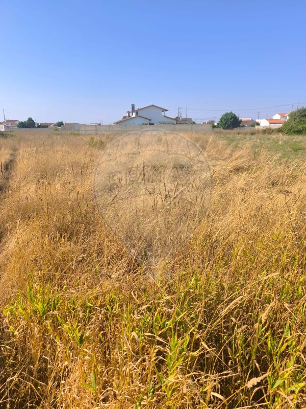 Terreno  para venda