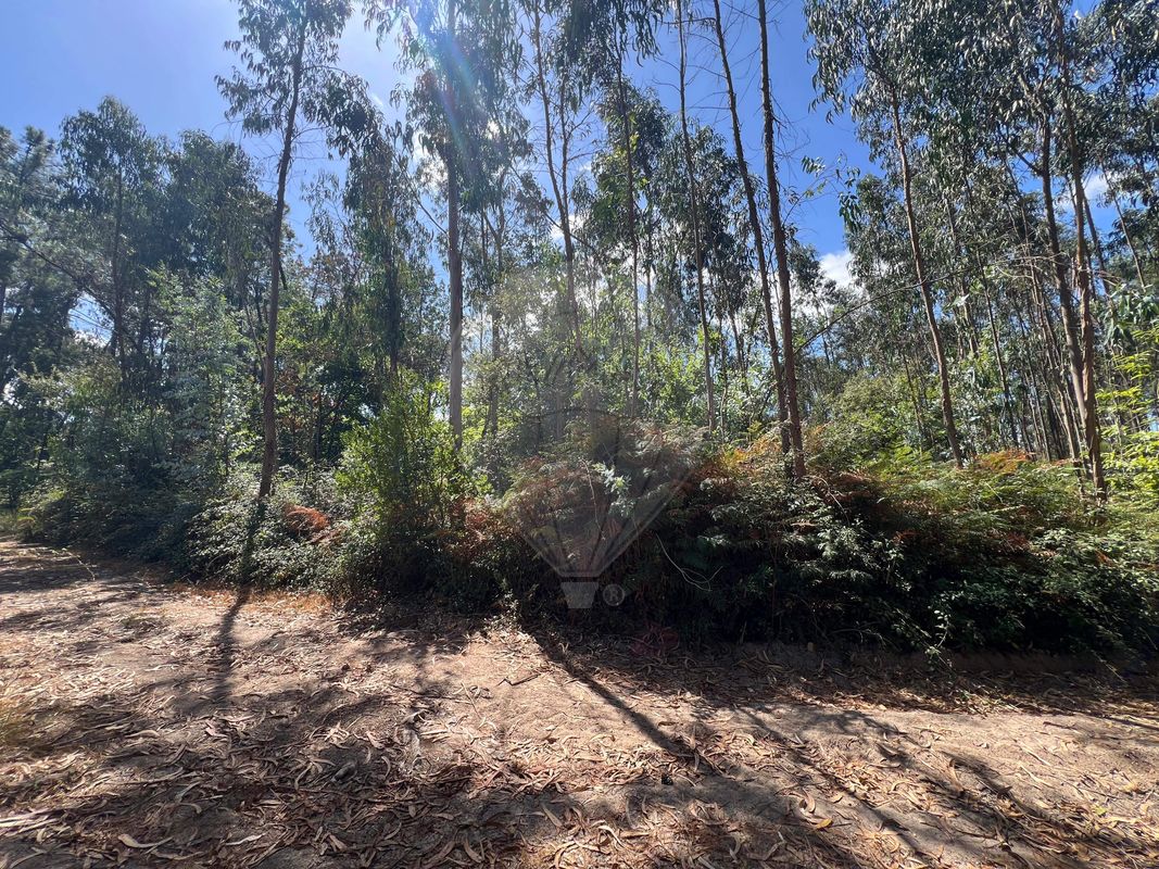 Terreno  para venda