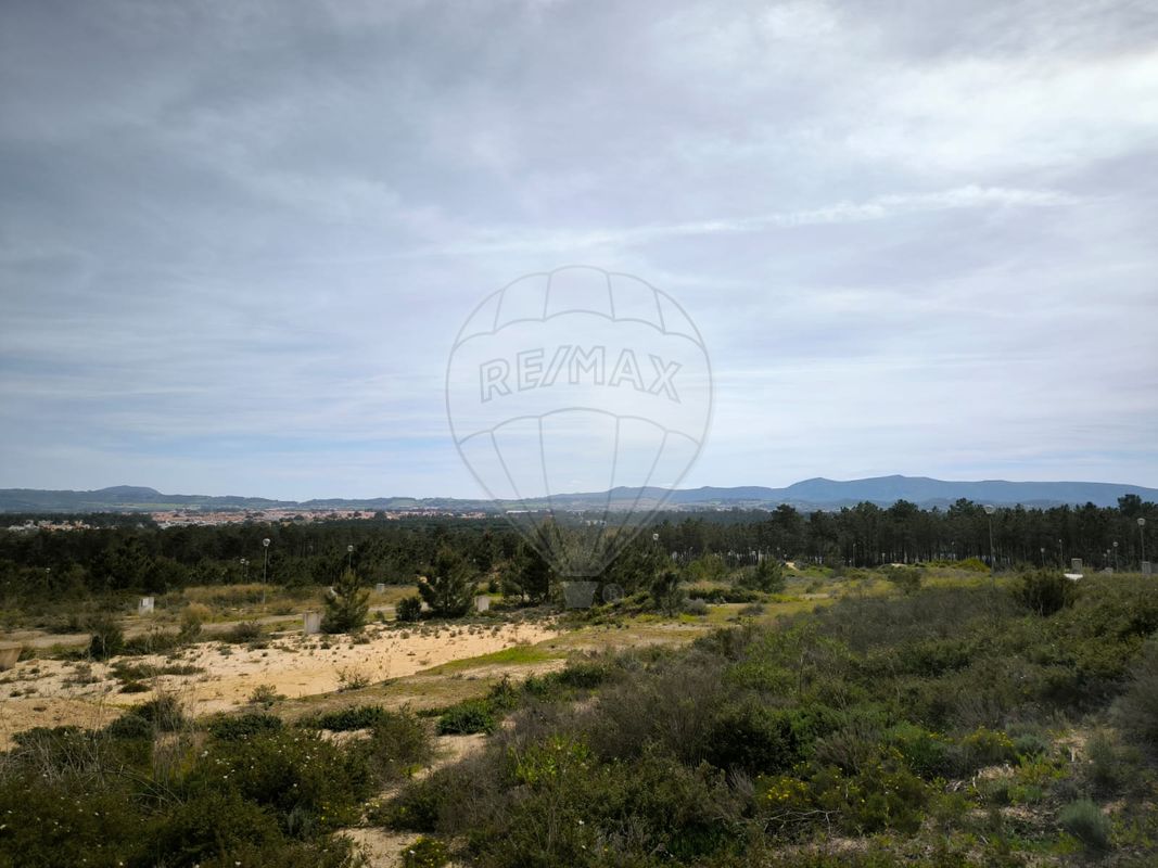 listing-picture-0