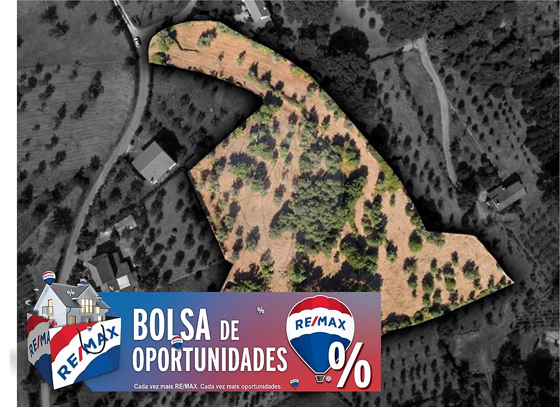 Terreno - Beco, Ferreira do Zêzere, Santarém