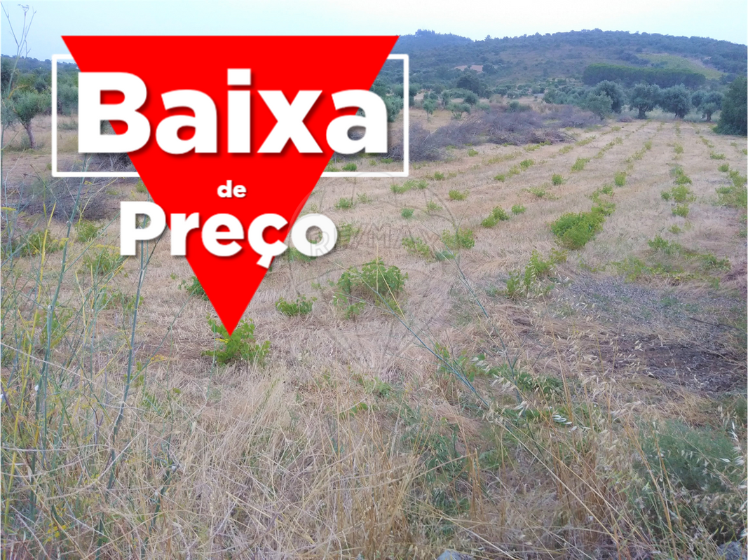 TERRENO EM CHÃOS, FERREIRA DO ZÊZERE