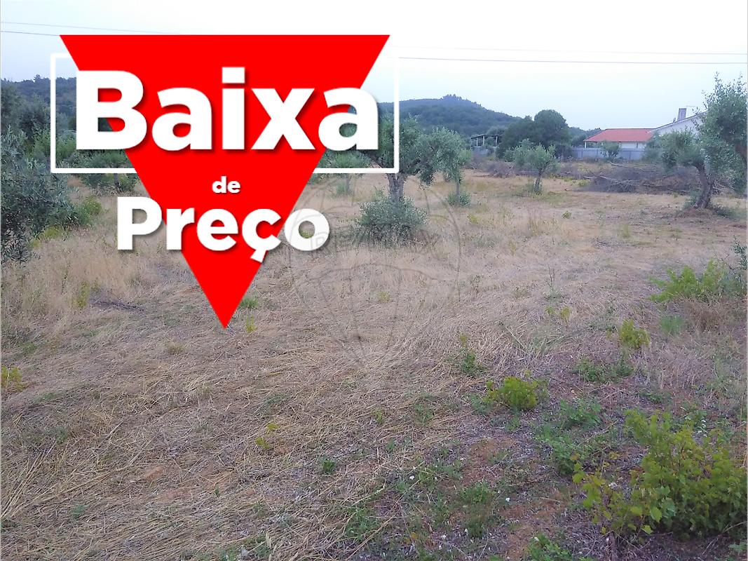 TERRENO EM CHÃOS, FERREIRA DO ZÊZERE