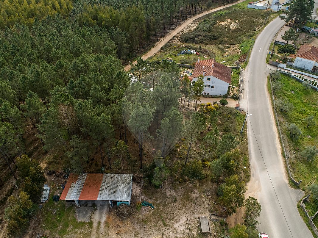 listing 124431024-6 picture-0