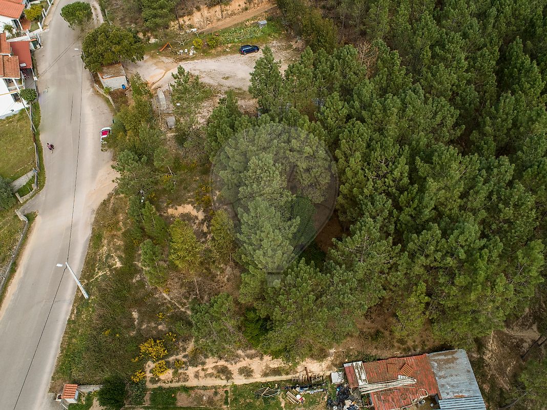 listing 124431024-6 picture-0