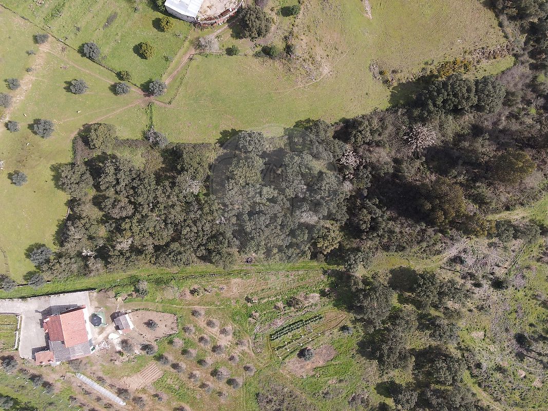 Terreno à venda em Carril