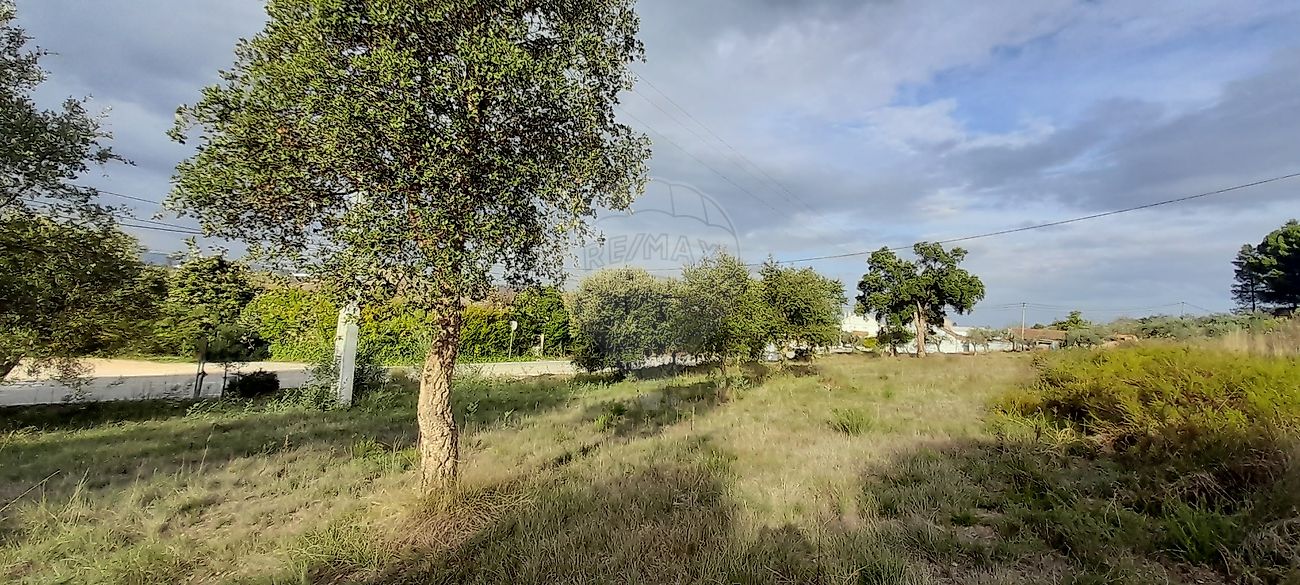 Terreno para venda