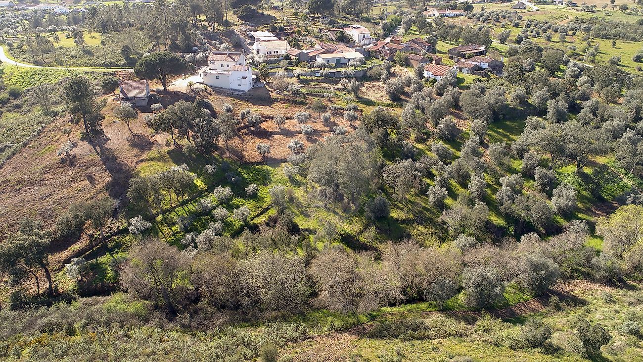 Terreno - São Pedro de Tomar, Tomar, Santarém