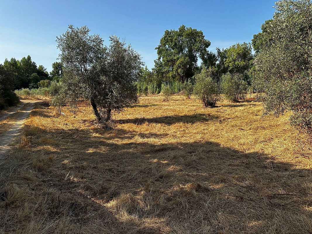 Apartamento à venda em Tomar