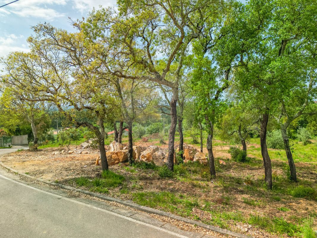 Terreno para venda