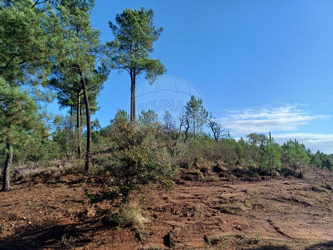 listing-picture-0