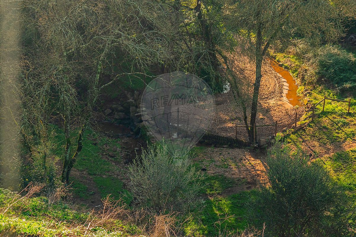 Moradia T6+ à venda em Asseiceira, Tomar — foto 10