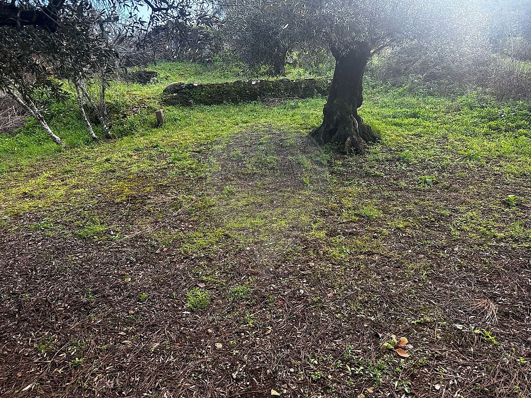 Terreno para venda