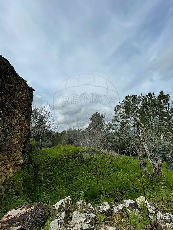 Terreno  para venda