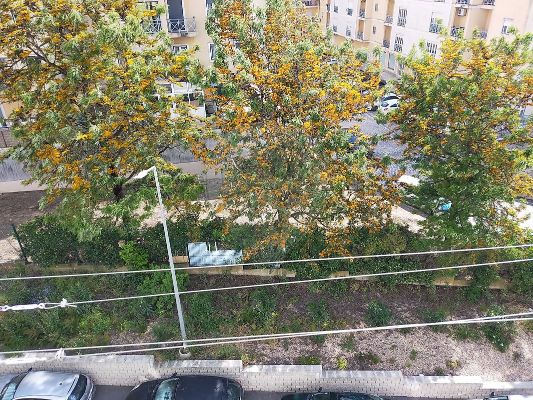 listing 124431026-88 picture-0