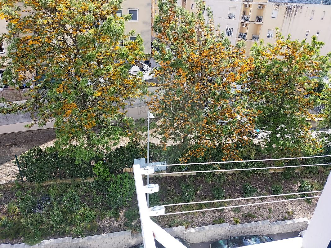 listing 124431026-88 picture-0