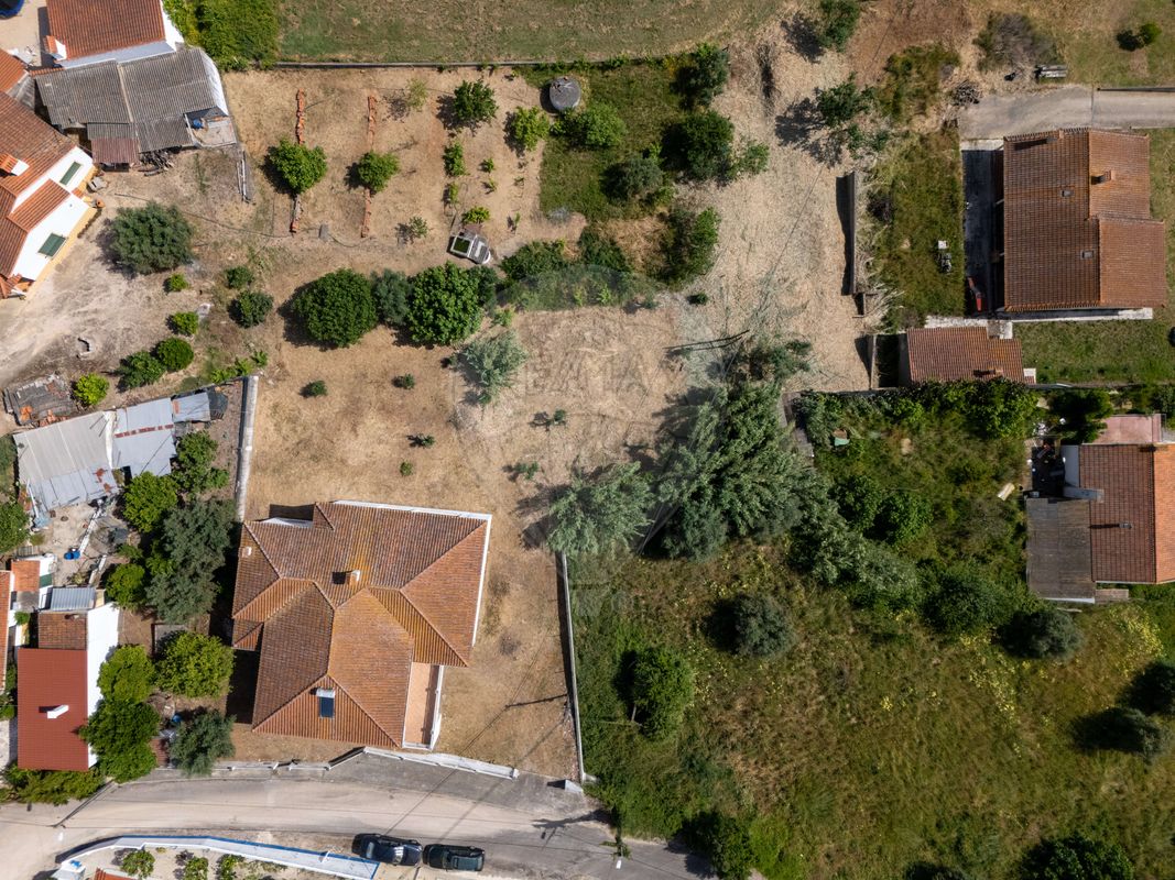 listing 124431068-8 picture-0