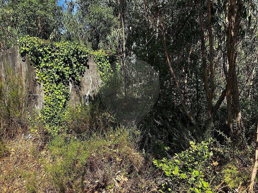 Terreno para venda