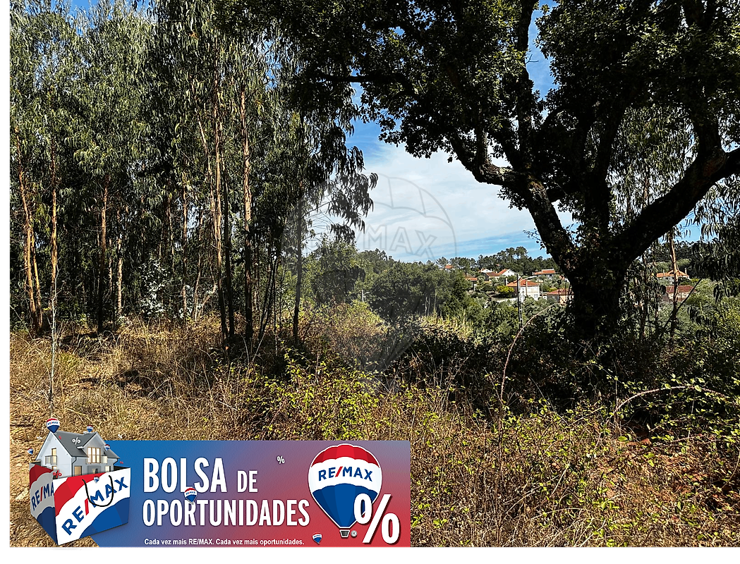 Terreno - Olalhas, Tomar, Santarém