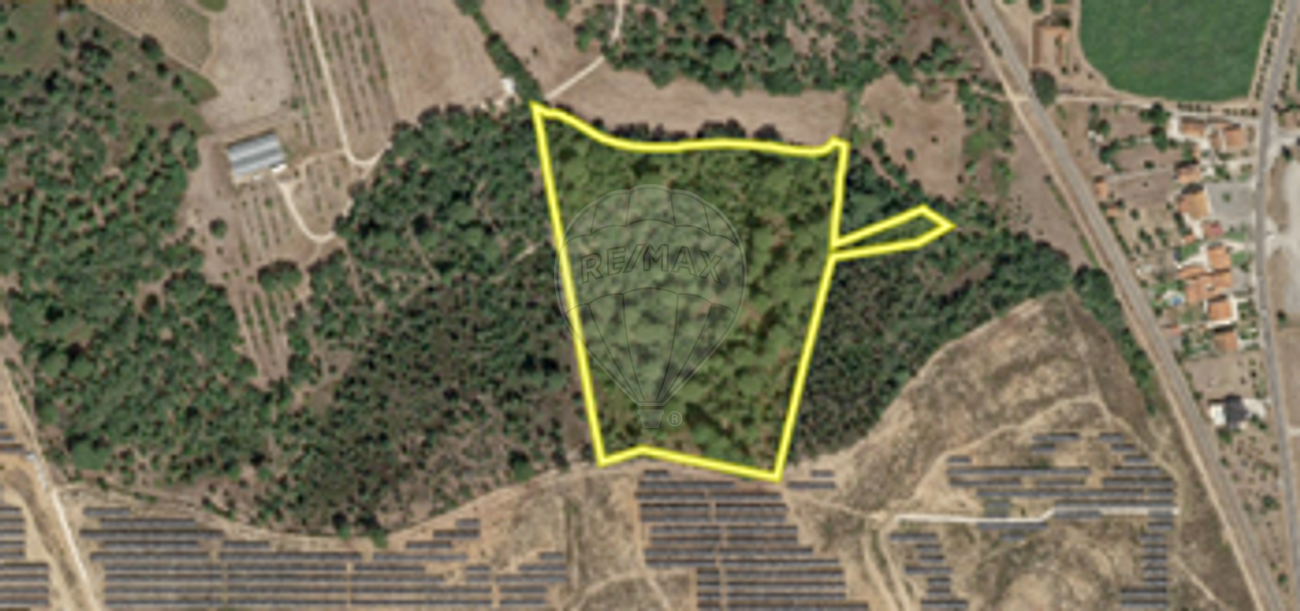 Terreno - Madalena e Beselga, Tomar, Santarém